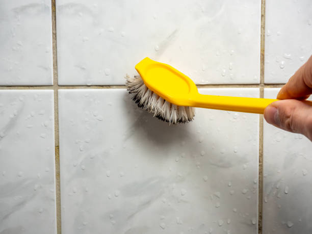 Best Mold Testing  in Menifee, CA