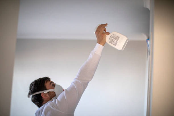 Best Best Mold Removal Companies  in Menifee, CA