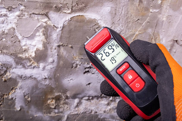 Best Local Mold Removal Service  in Menifee, CA