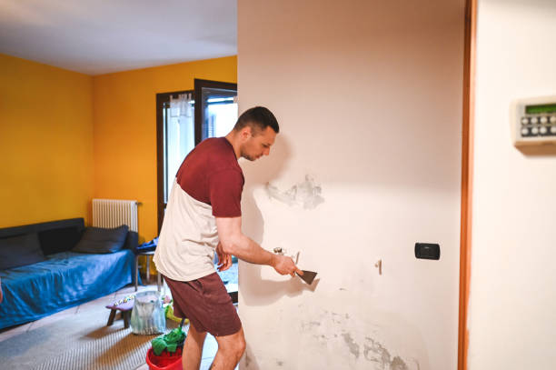 Best Mold Cleaning Services  in Menifee, CA